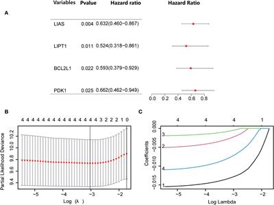 A cuproptosis-related genes signature associated with prognosis and immune cell infiltration in osteosarcoma